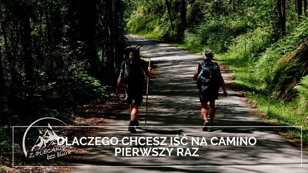 Pielgrzymka Camino de Santiago - iść samu czy z kimś?