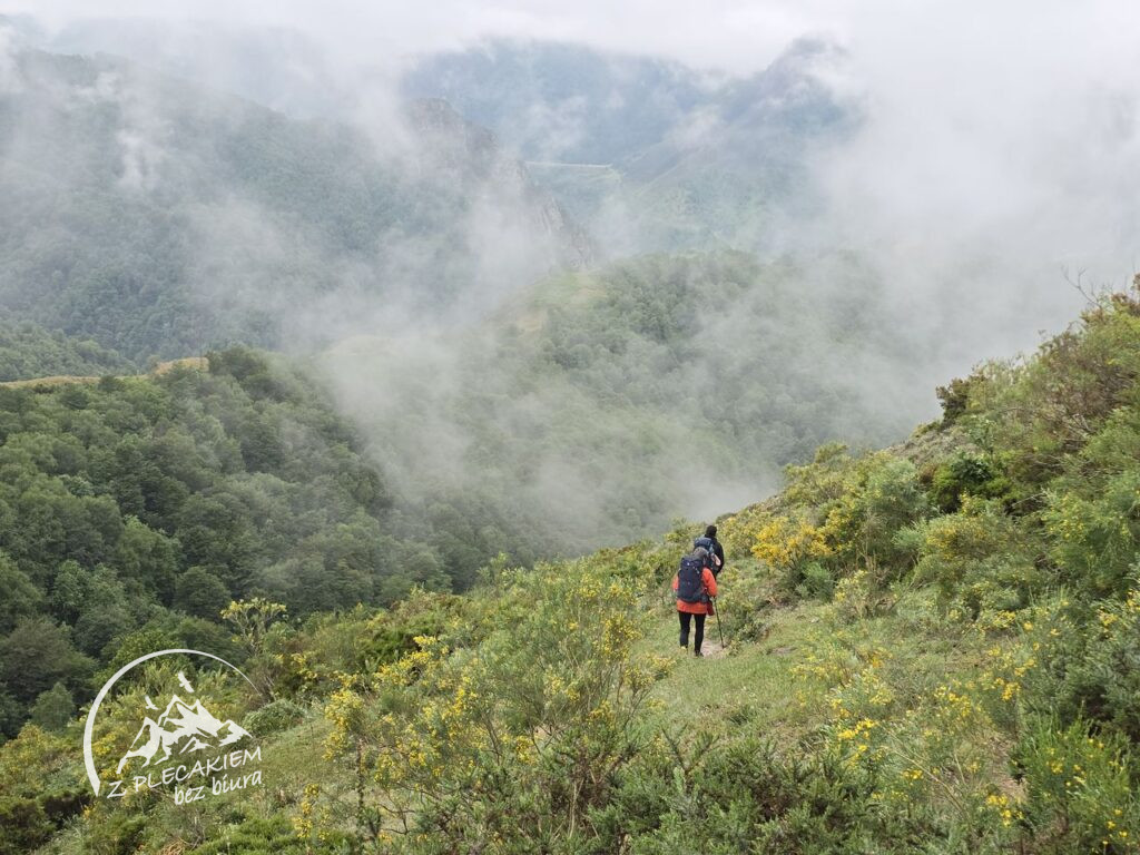 Przewodnik Camino de San Salvador - droga do Pajares