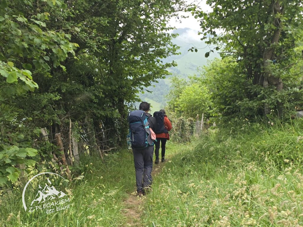 Przewodnik Camino de San Salvador - dojście do Pajares