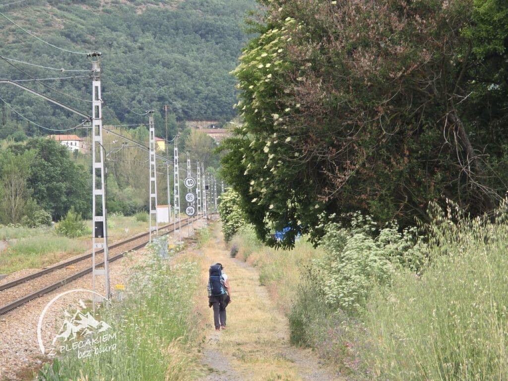 Przewodnik Camino de San Salvador - Nocedo de Gordon