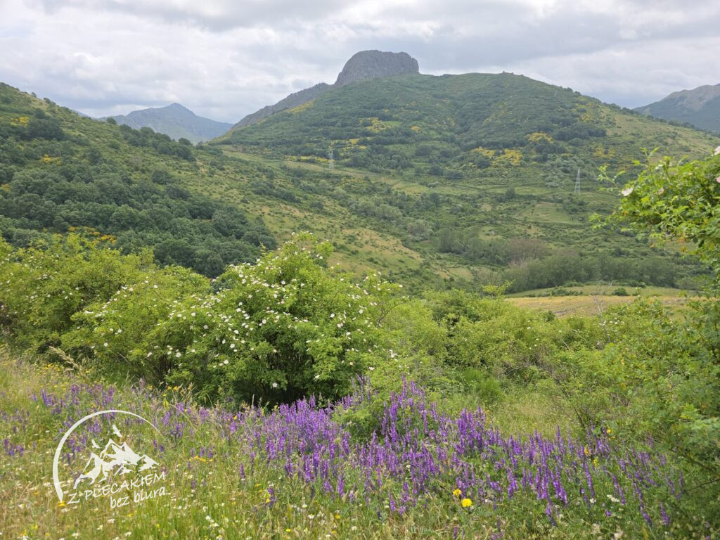 Przewodnik Camino de San Salvador - w drodze za Pola de Gordon
