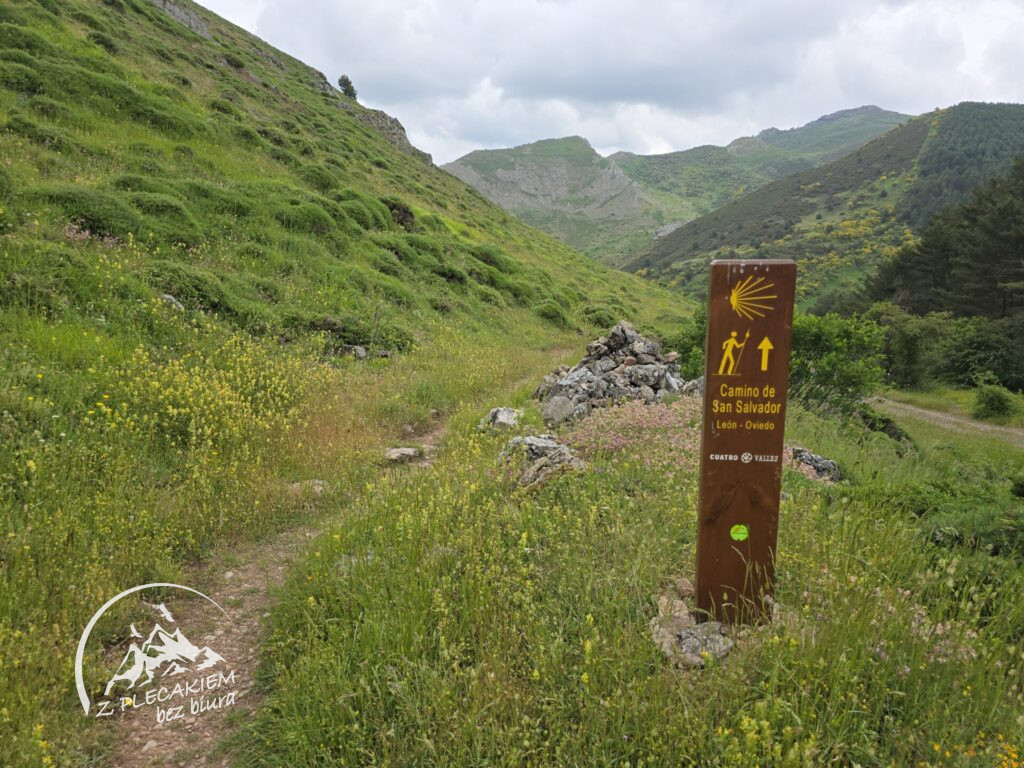 Przewodnik Camino de San Salvador - droga do Poladura de la Tercia